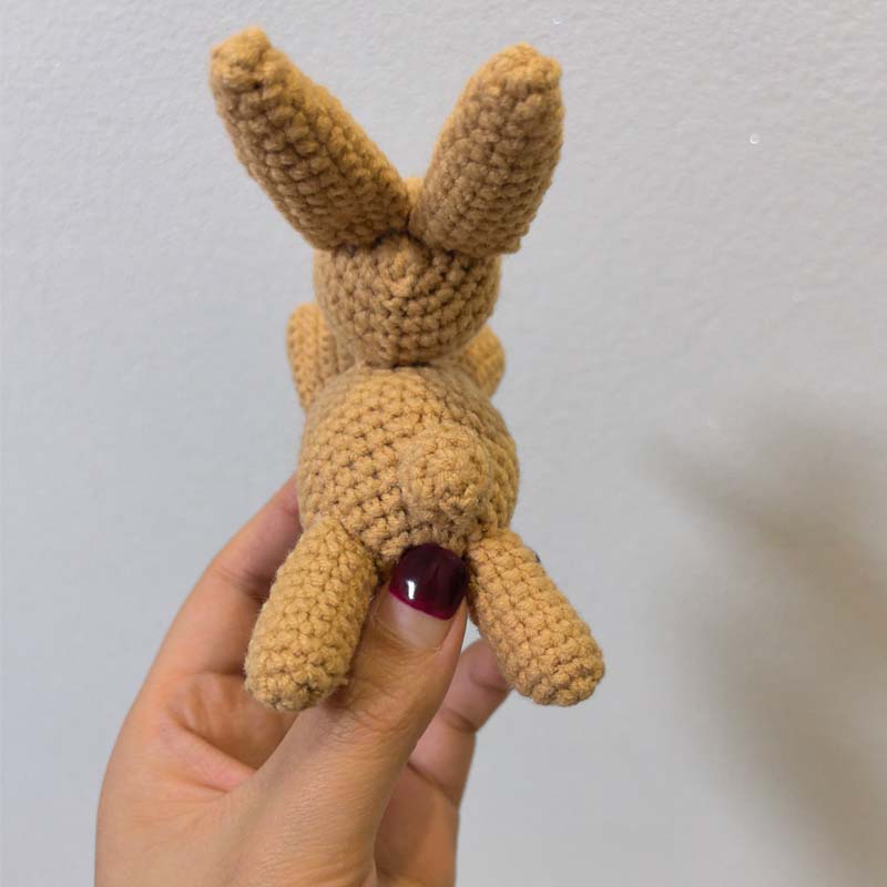 1 Adet Sevimli Tığ İşi Tavşan  - Baby Nursery Diy incelemesi ve fiyatı